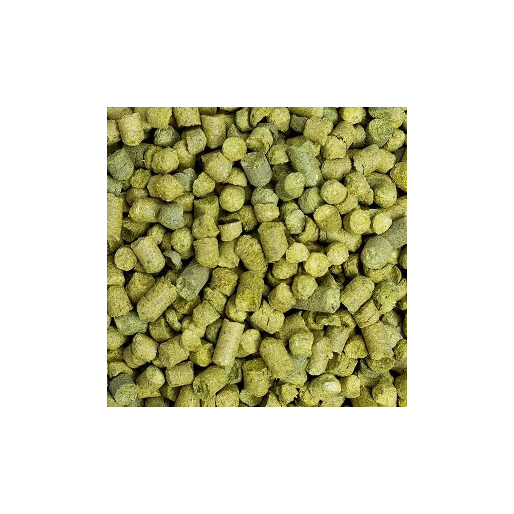 Houblon Nelson Sauvin ORGANIC en pellets / 10 grammes