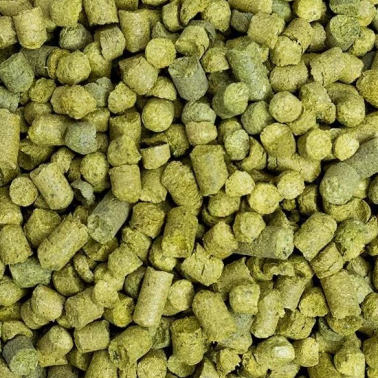 Houblon Nelson Sauvin ORGANIC en pellets / 10 grammes