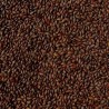Malt torréfié CARAFA type 1 EBC 800 - 1000