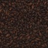 Malt torréfié CARAFA SPEZIAL type 1 EBC 800 - 1000