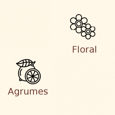 Houblon Cascade en pellets dès 200g