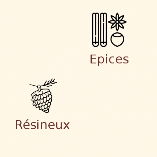 Houblon Challenger en pellets dès 100g