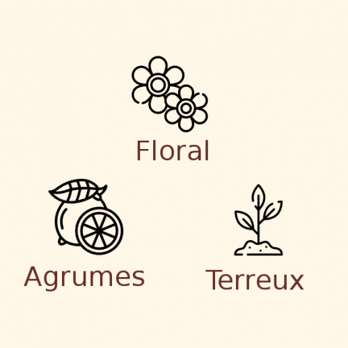 Houblon Ahtanum en pellets / 10 grammes