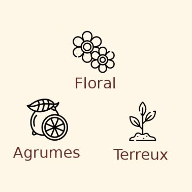 Houblon Ahtanum en pellets / 10 grammes