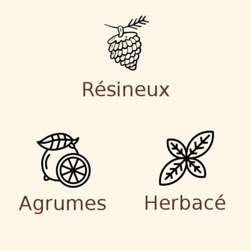 Houblon Centennial en pellets