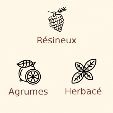 Houblon Centennial en pellets