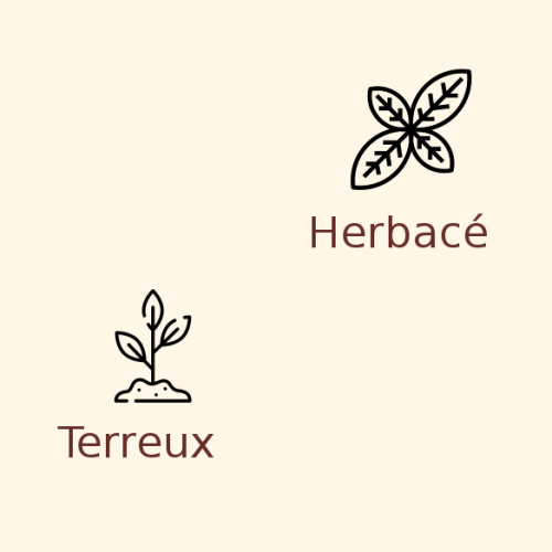 Houblon Fuggles en pellets