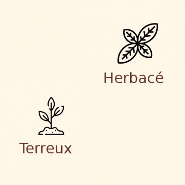 Houblon Fuggles en pellets