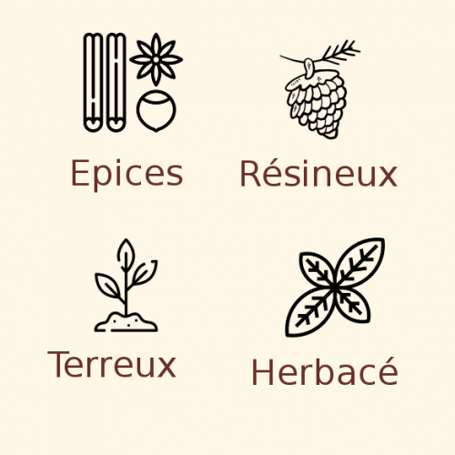 Houblon Nugget Hallertau en pellets