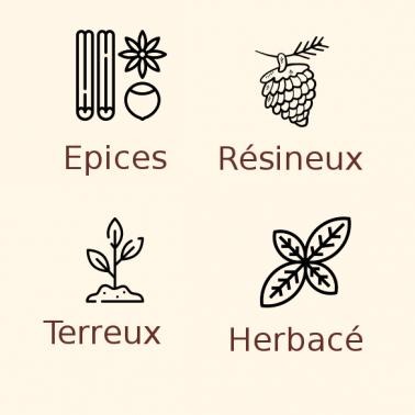 Houblon Nugget Hallertau en pellets