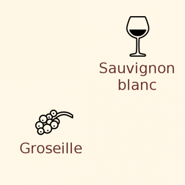 Houblon Nelson Sauvin en pellets / 10 grammes