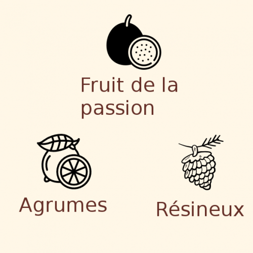 Houblon Simcoe en pellets