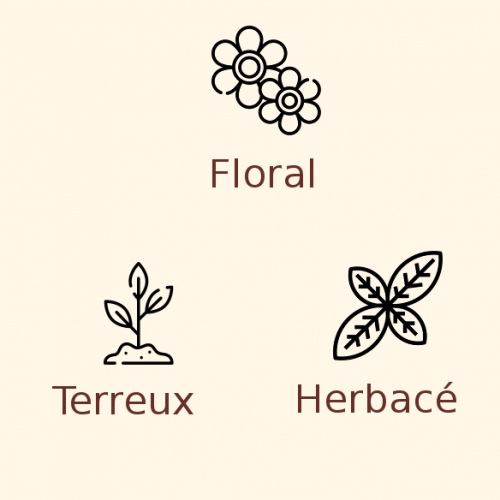 Houblon Spalt Select en pellets