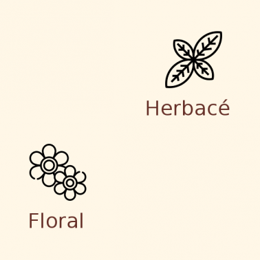 Houblon  Styrian Goldings en pellets