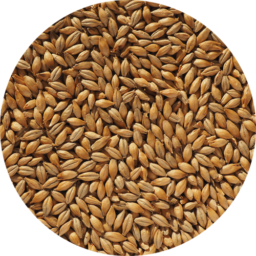 Malt Crisp Maris Otter EBC 4-6