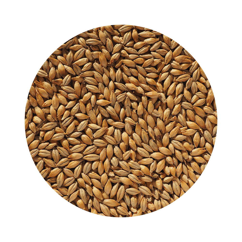 Malt Crisp Maris Otter EBC 4-6