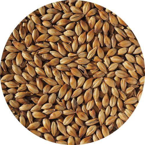 Malt Crisp Light Crystal (Crystal 150) 145-165 EBC "MOULU"