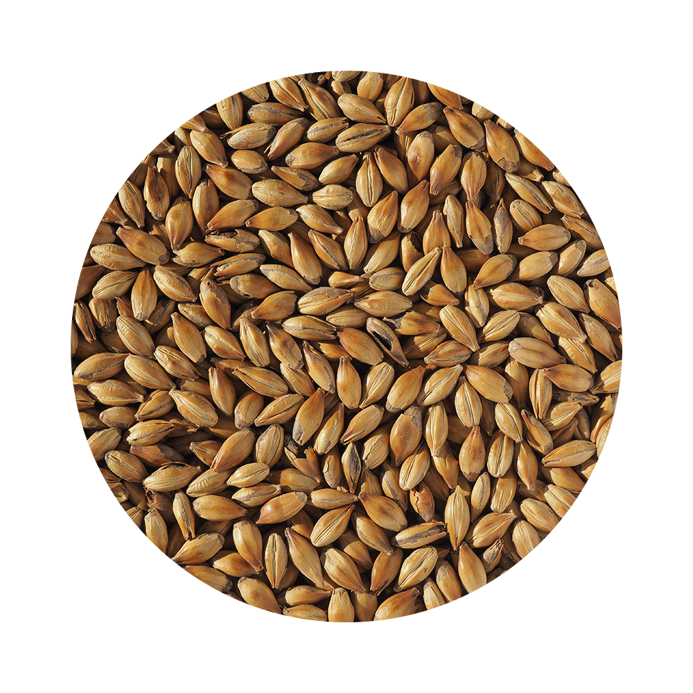 Malt Crisp Light Crystal (Crystal 150) 145-165 EBC "MOULU"