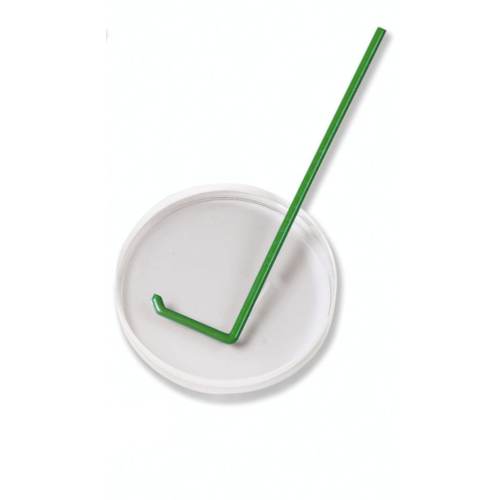 Boîtes de Petri verre 80x15mm + spatule en Forme de L