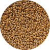 Malt CRISP Maris Otter