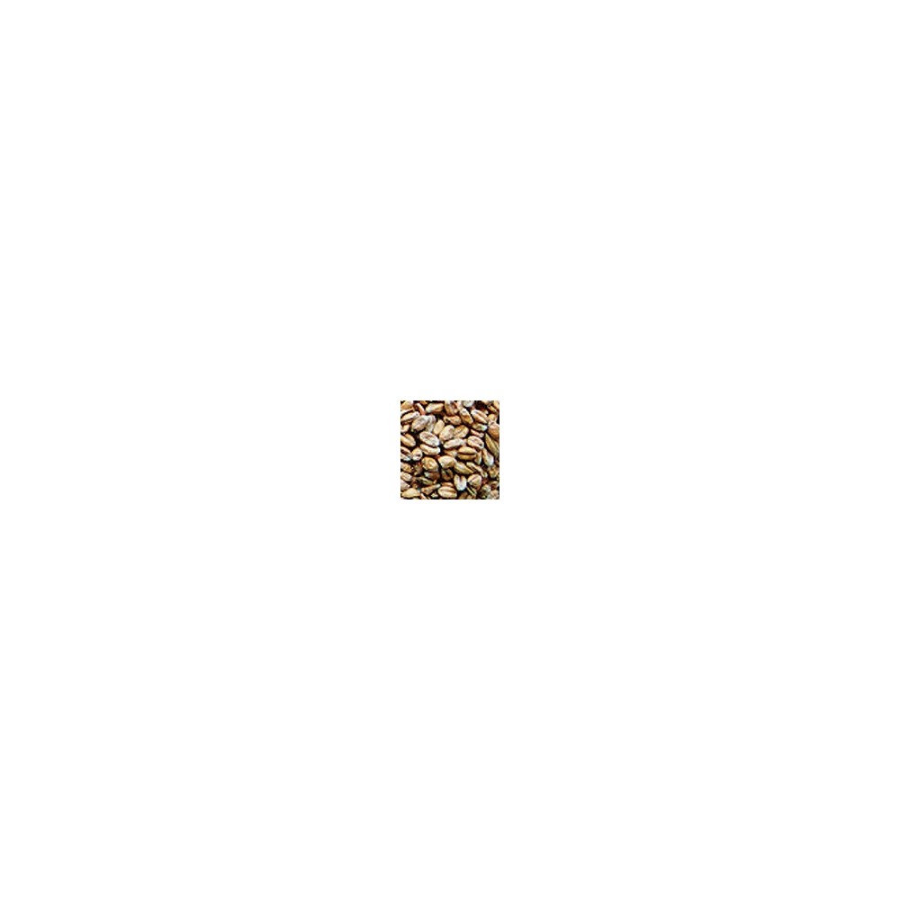 Transport Malt MARIS OTTER 1 palette